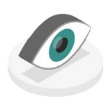 vision